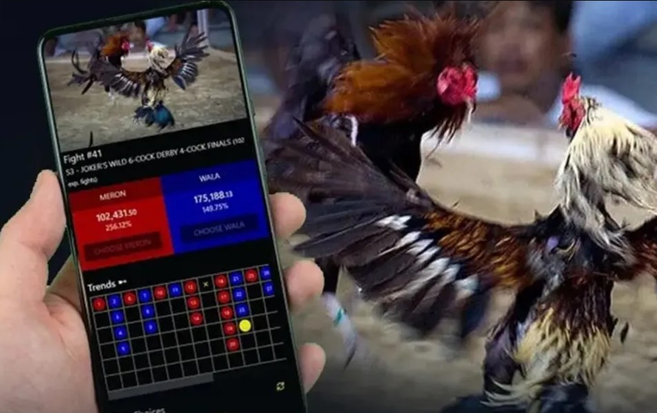 Xem Đá Gà Có Bị Bắt Không? – Hướng Dẫn Từ E2bet